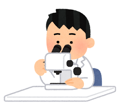 研究者